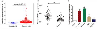 miR-1301-3p Promotes Cell Proliferation and Facilitates Cell Cycle Progression via Targeting SIRT1 in Gastric Cancer